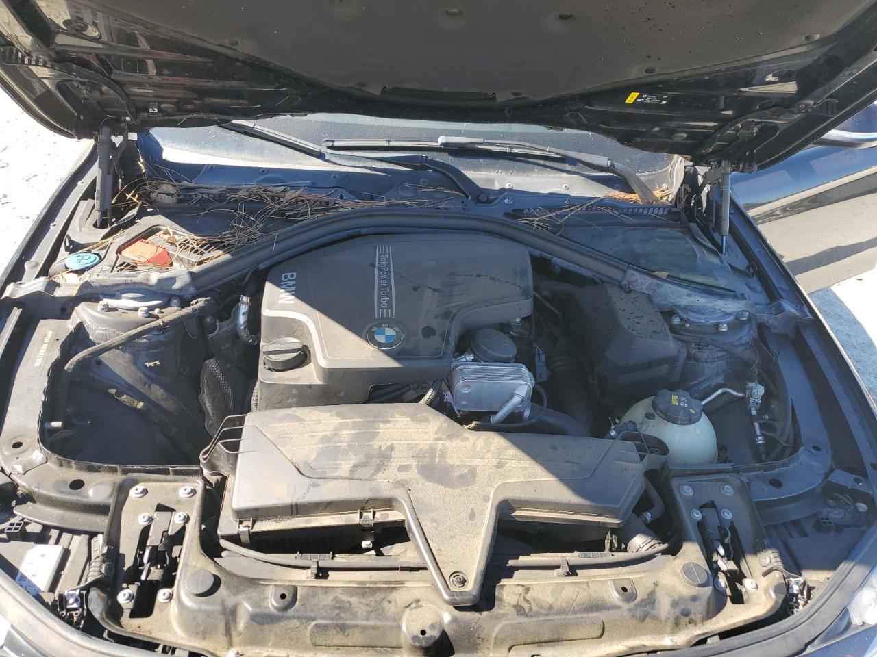 Фото: WBA8E1G59JNU93383