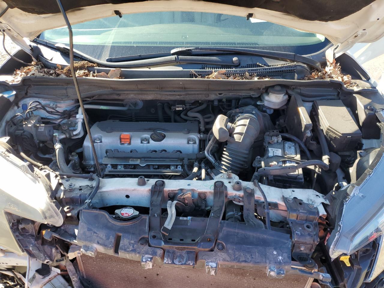 2014 Honda Cr-V Exl VIN: 5J6RM4H76EL012867 Lot: 87379645