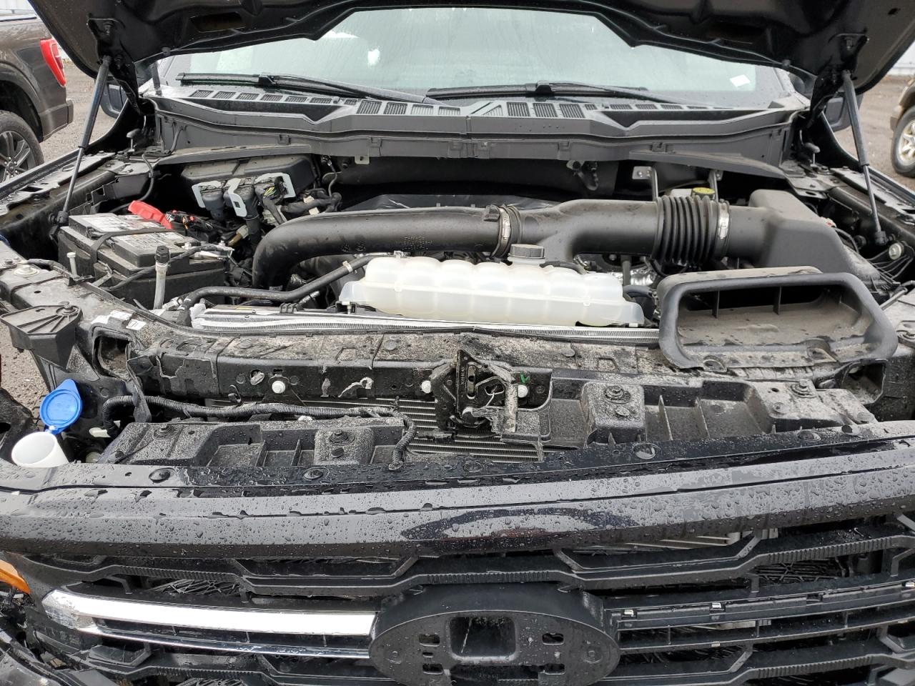 2025 Ford F150 Xlt VIN: 1FTFW3L86SKE61819 Lot: 90377645