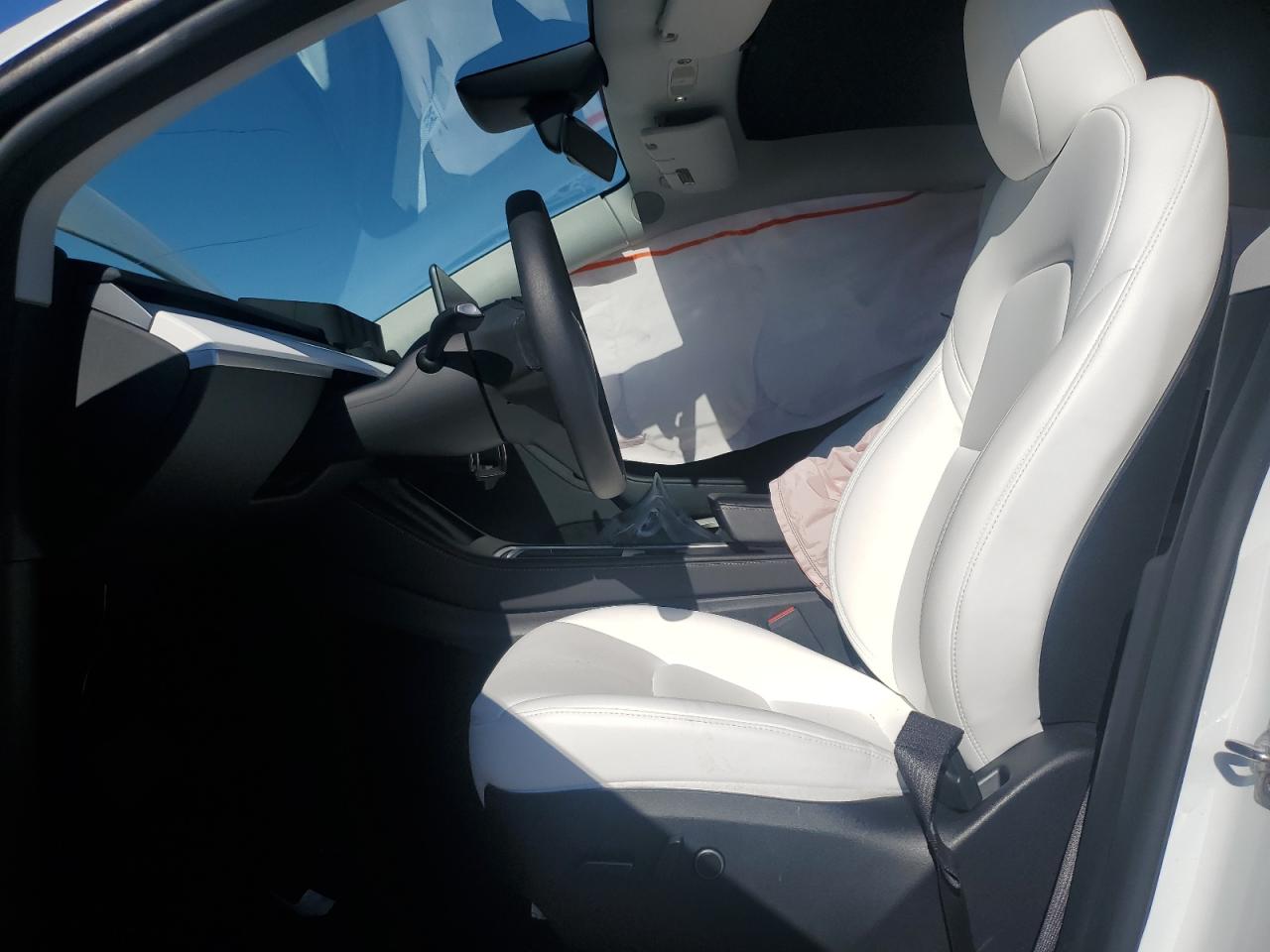 2024 Tesla Model Y VIN: 7SAYGDEE4RA319636 Lot: 87390475