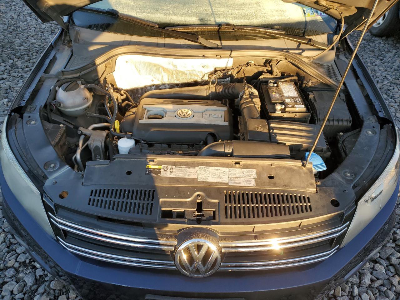 2016 Volkswagen Tiguan S VIN: WVGBV7AXXGW601675 Lot: 84568595