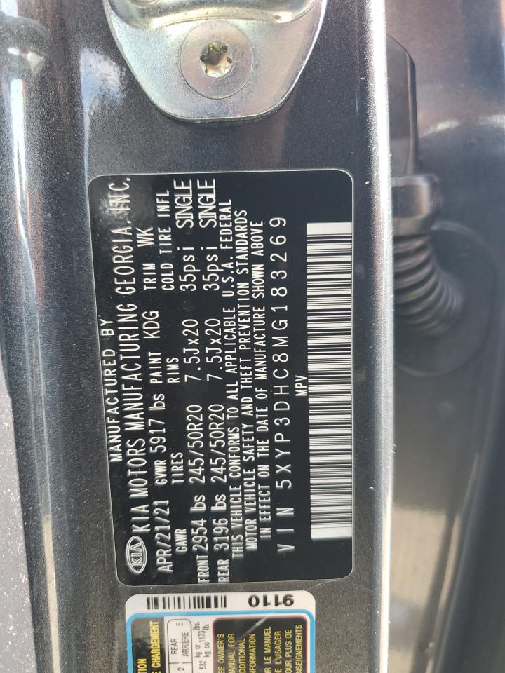 2021 Kia Telluride Ex VIN: 5XYP3DHC8MG183269 Lot: 82342765