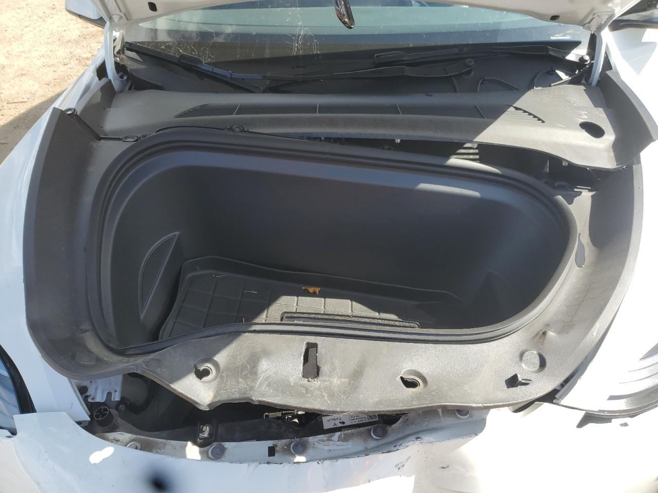 2024 Tesla Model Y VIN: 7SAYGDEE7RF088685 Lot: 85380585