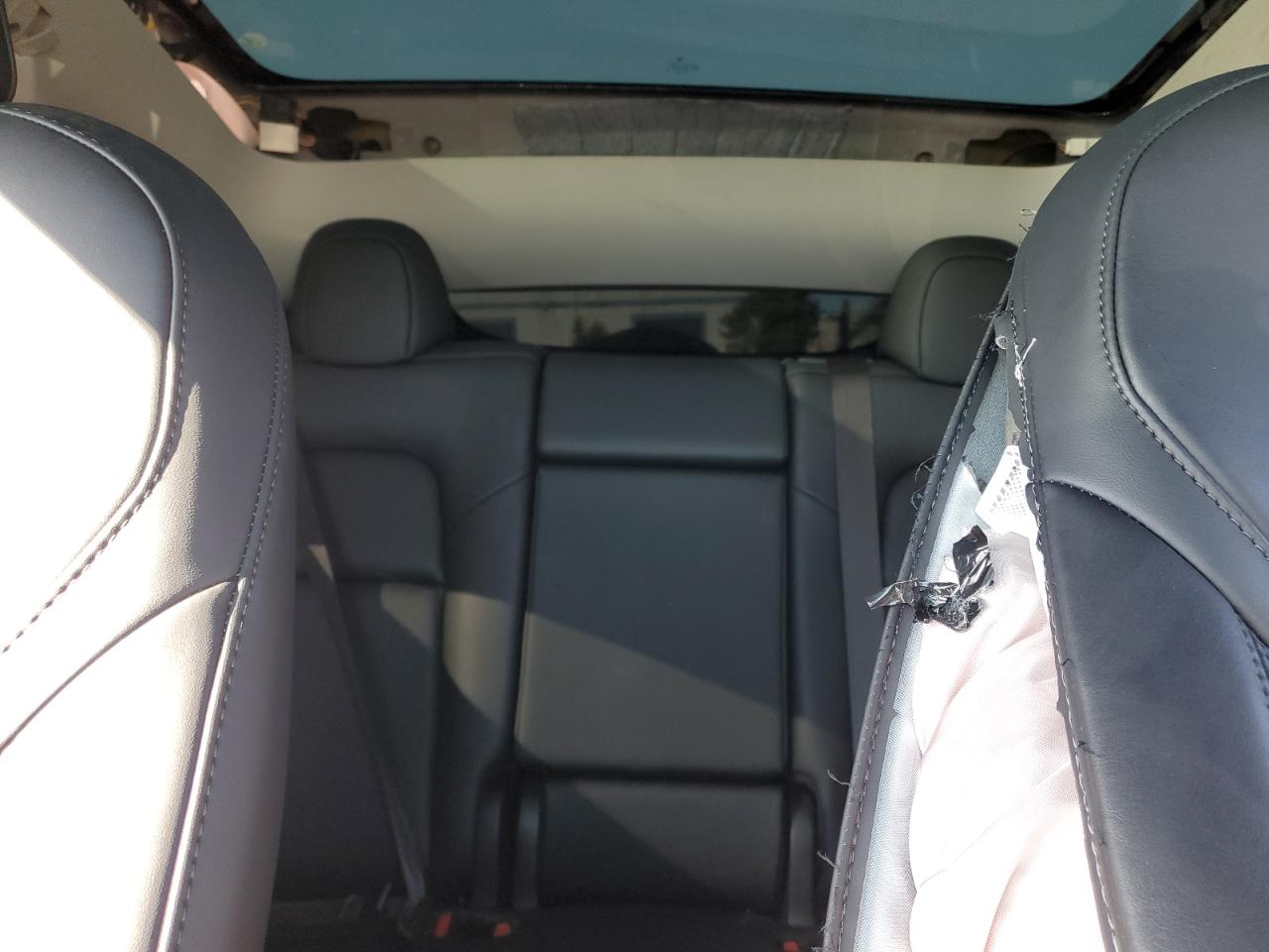 2023 Tesla Model Y VIN: 7SAYGDED1PF977065 Lot: 85851505