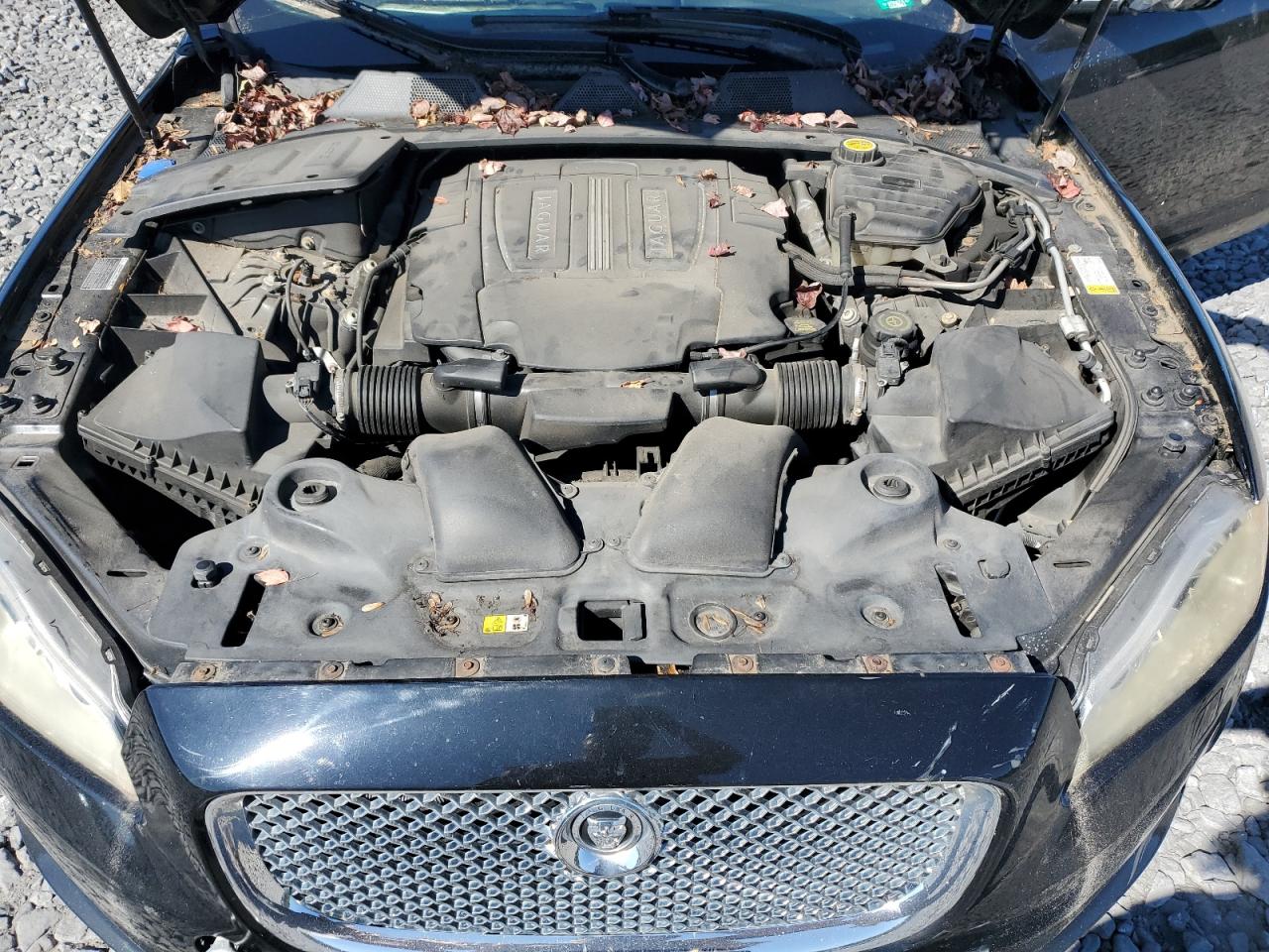 2012 Jaguar Xjl VIN: SAJWA2GB5CLV37851 Lot: 81937725