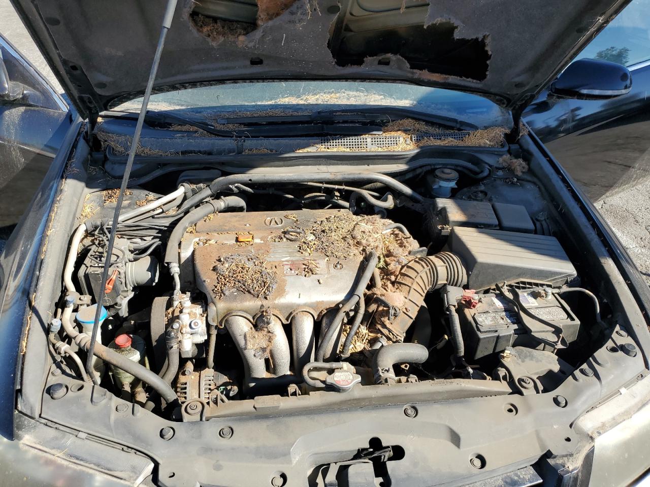 2004 Acura Tsx VIN: JH4CL96824C044218 Lot: 90406205