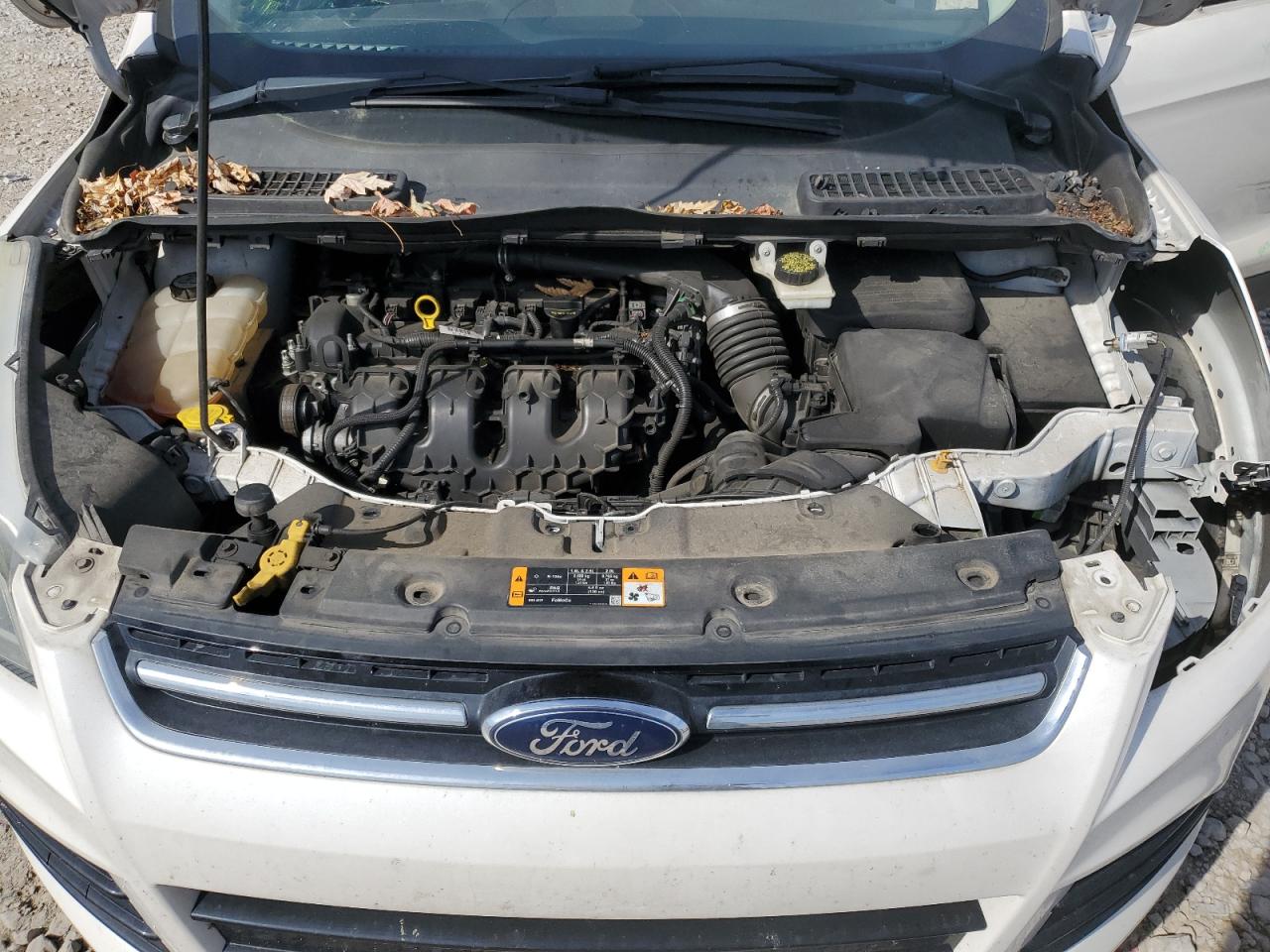 2013 Ford Escape Titanium VIN: 1FMCU9J91DUC51493 Lot: 82207815