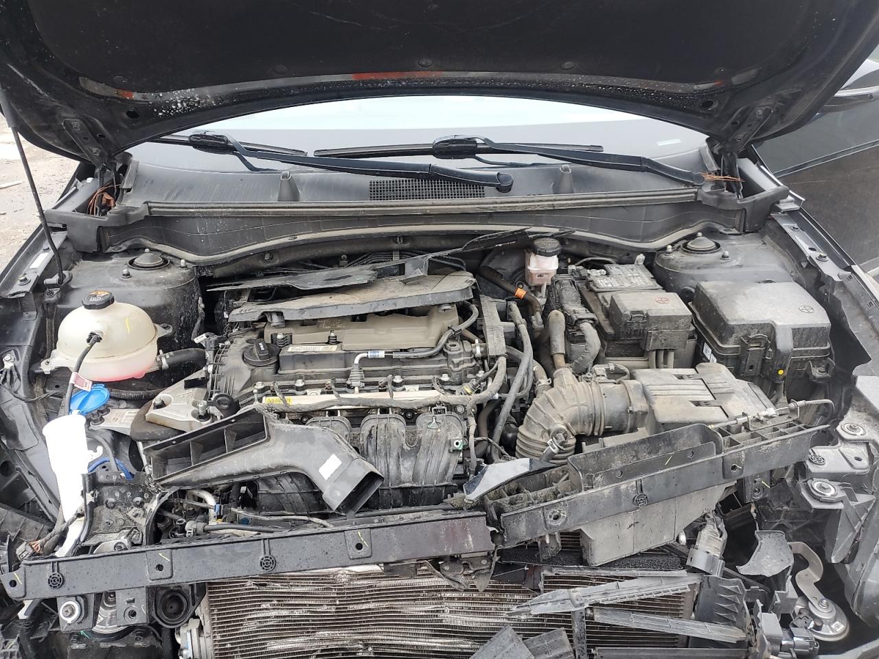 2023 Kia Sportage Ex VIN: 5XYK33AF9PG076177 Lot: 90524145