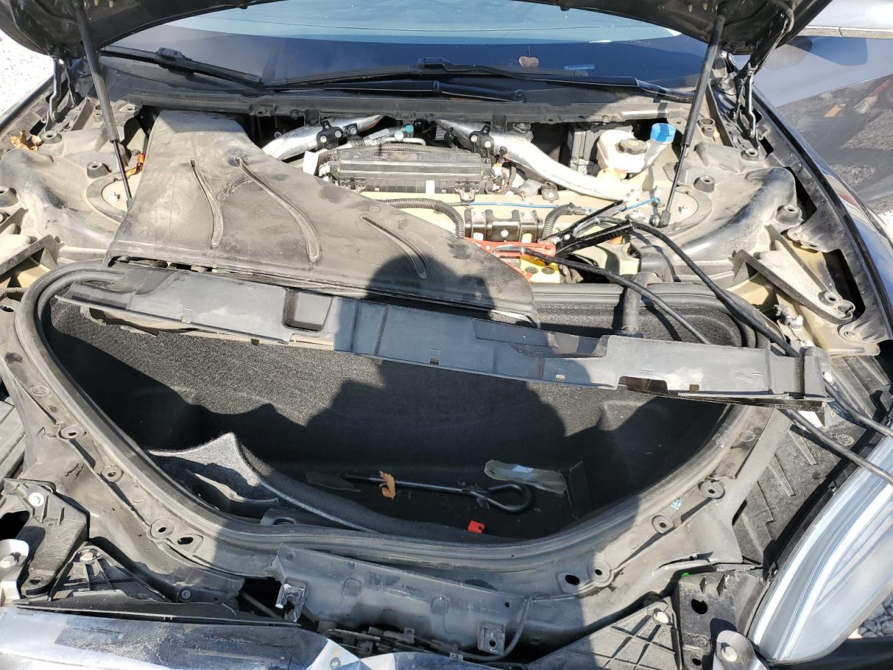 2019 Tesla Model S VIN: 5YJSA1E29KF305166 Lot: 90986025