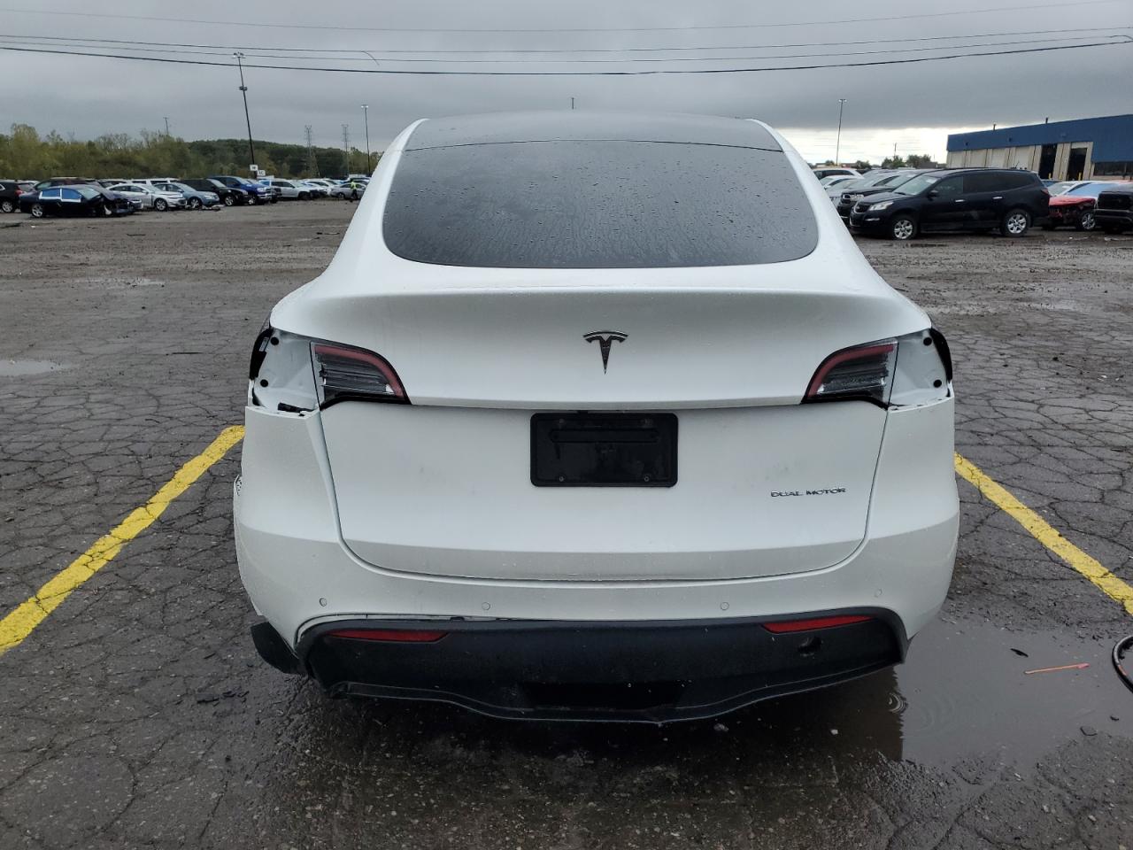 2022 Tesla Model Y VIN: 7SAYGDEE4NF366291 Lot: 85678545