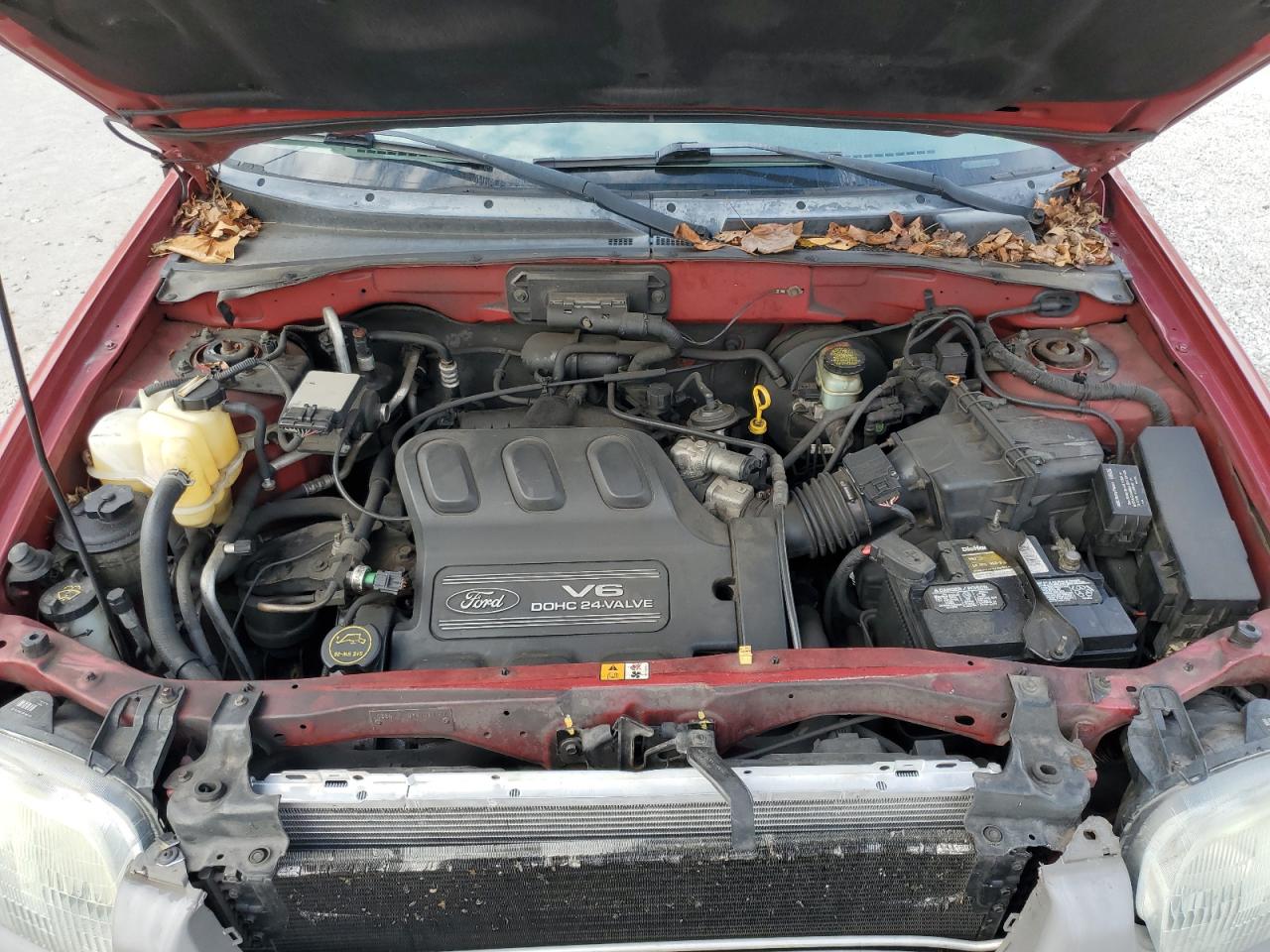 2001 Ford Escape Xlt VIN: 1FMYU041X1KB40715 Lot: 85272315