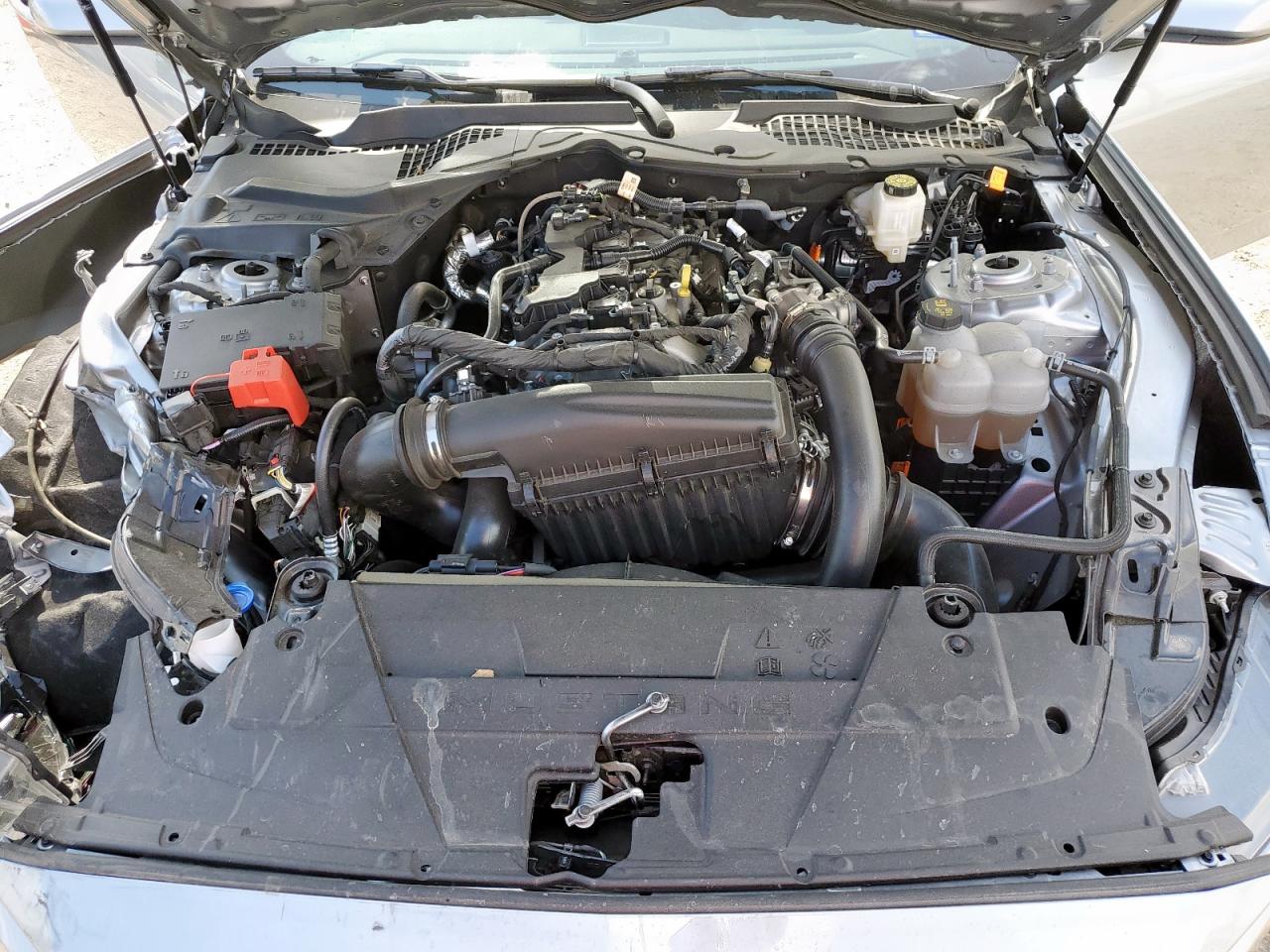 2024 Ford Mustang VIN: 1FA6P8TH2R5141289 Lot: 85531375