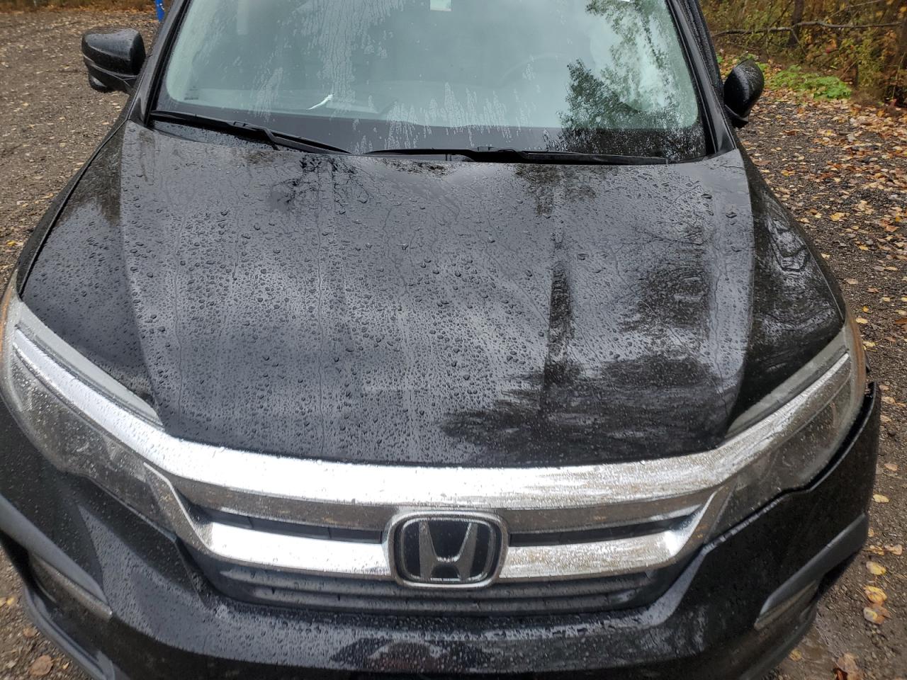 2021 Honda Pilot Black VIN: 5FNYF6H71MB502738 Lot: 86980635