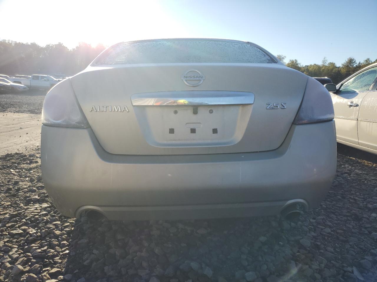 2010 Nissan Altima Base VIN: 1N4AL2AP2AN490342 Lot: 85498955