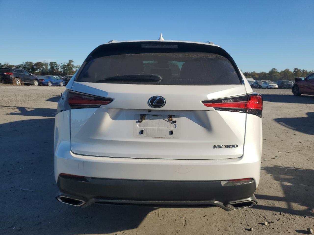 2019 Lexus Nx 300 Base VIN: JTJBARBZ5K2210801 Lot: 86620085