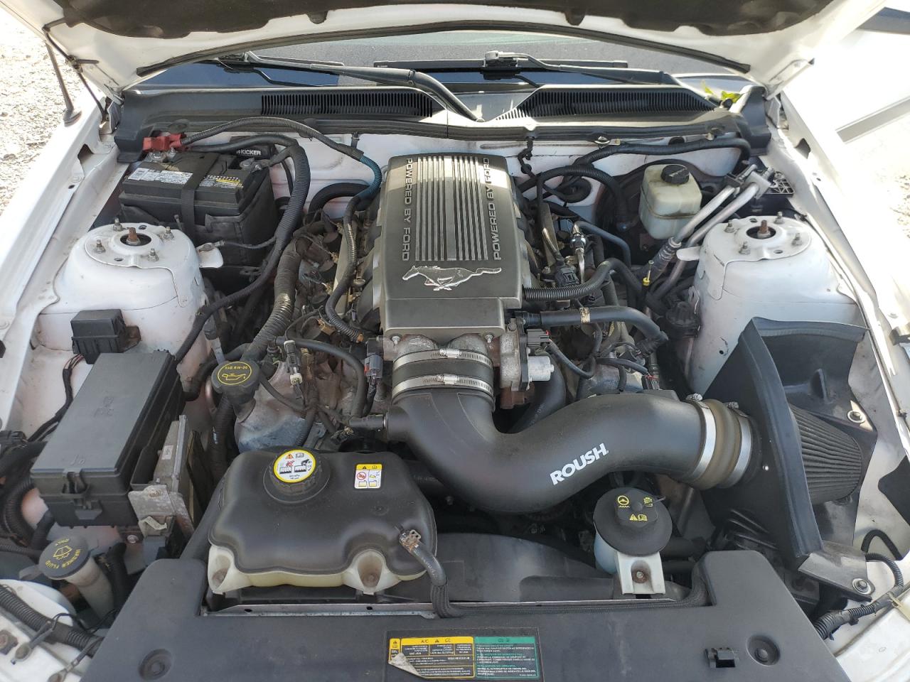 2008 Ford Mustang Gt VIN: 1ZVHT82H185142185 Lot: 90108635