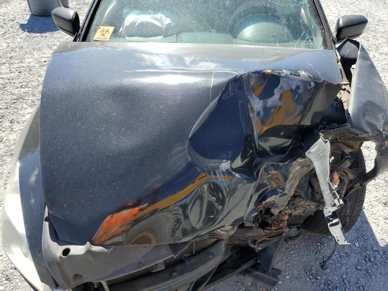 2006 Honda Accord Ex VIN: 1HGCM56846A093363 Lot: 81913095