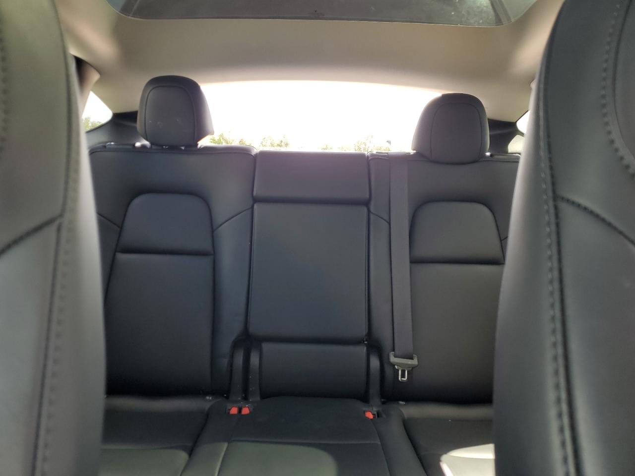 2024 Tesla Model Y VIN: 7SAYGDED8RF055511 Lot: 82562745