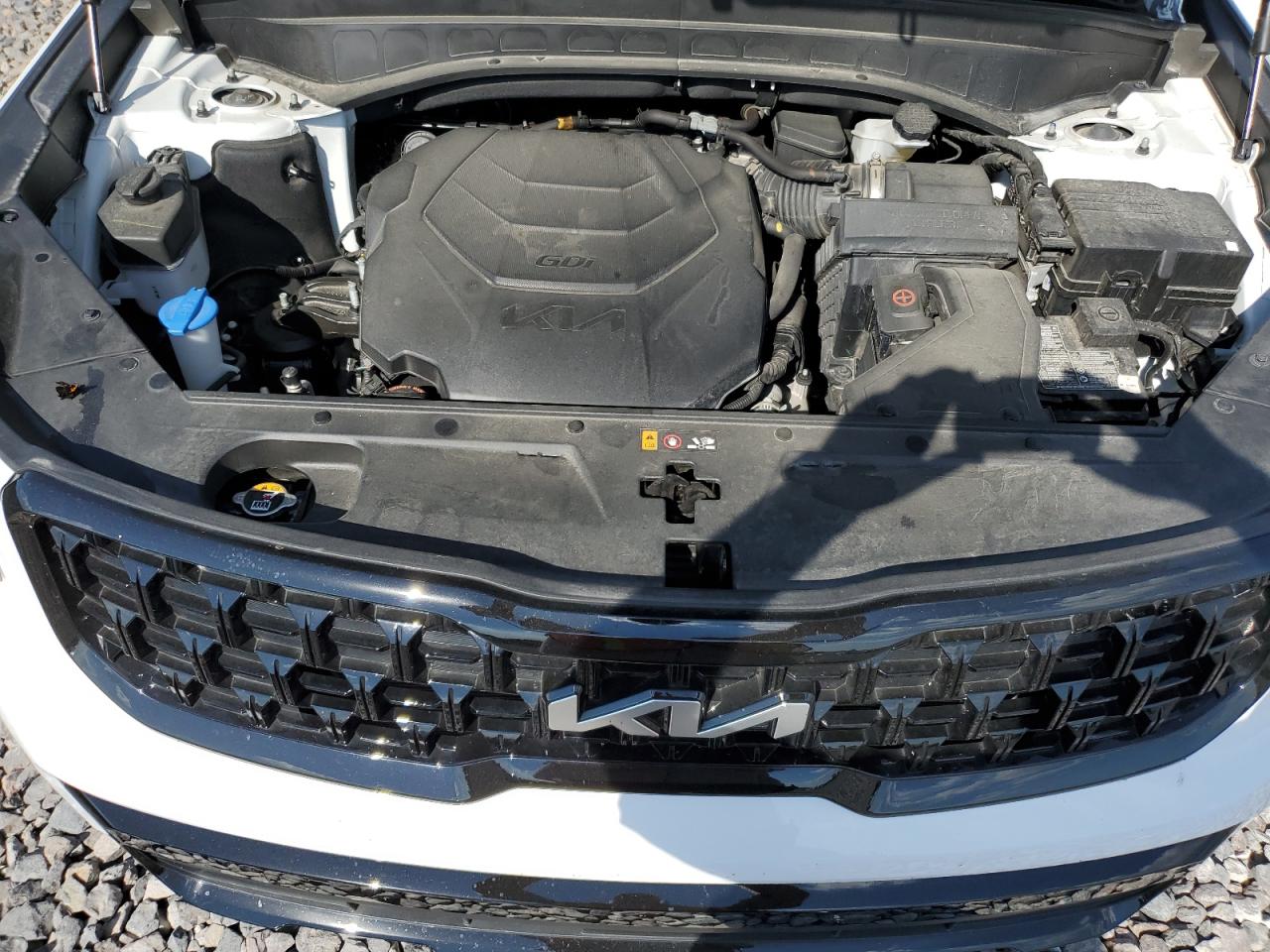 2024 Kia Telluride Ex VIN: 5XYP3DGC0RG417963 Lot: 82179665