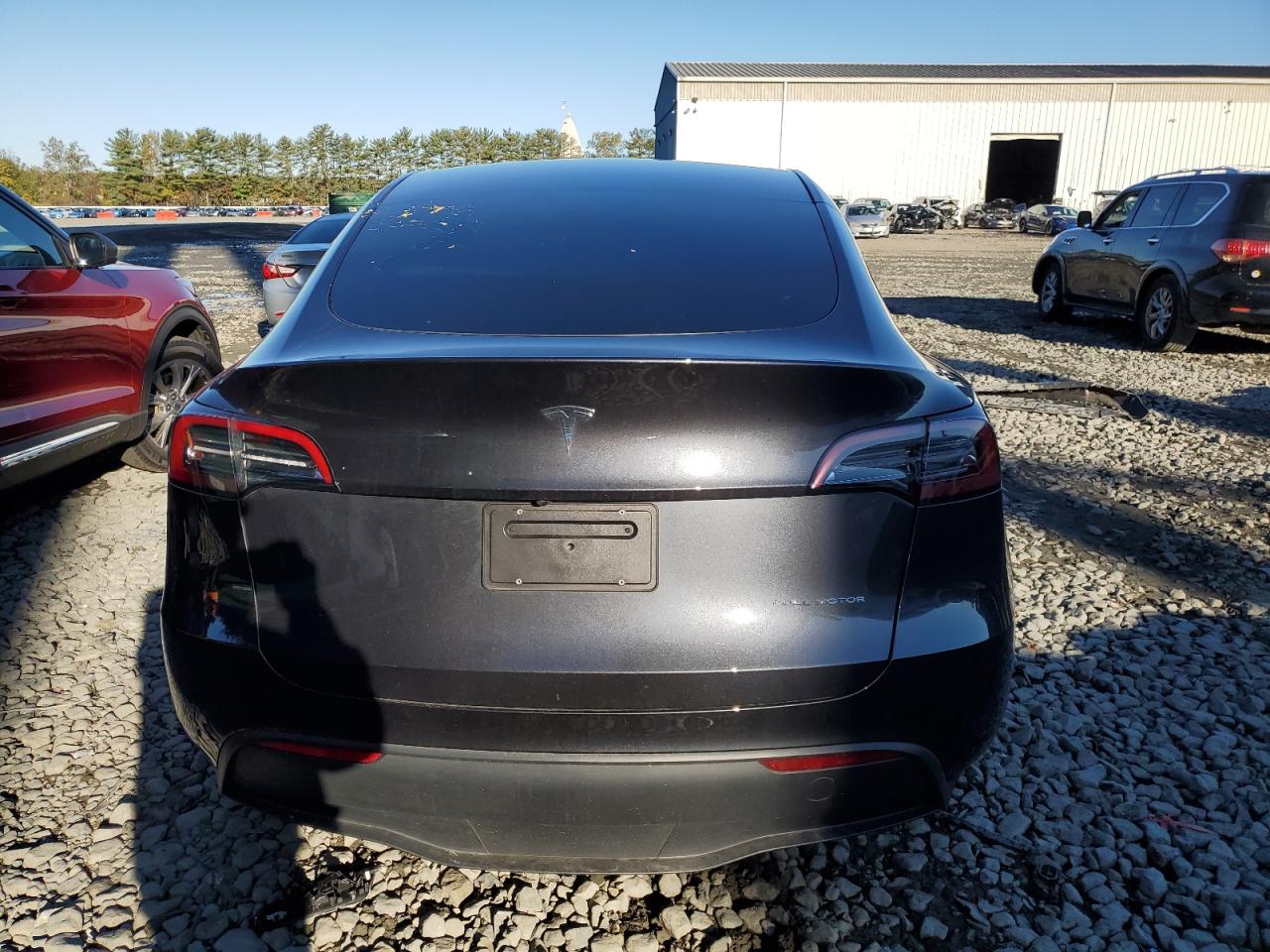 2024 Tesla Model Y VIN: 7SAYGDEE9RF160910 Lot: 85752555