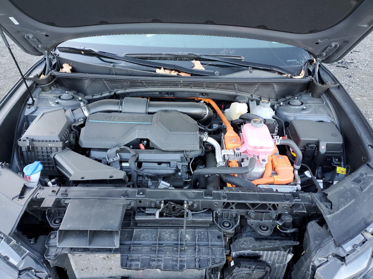 2025 Hyundai Tucson Sel Convenience VIN: KM8JCDD12SU307702 Lot: 86143245