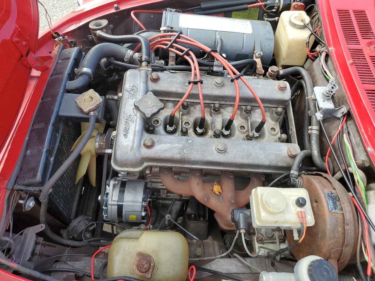 1978 Alfa Romeo Spider VIN: 1154100042779 Lot: 81097265