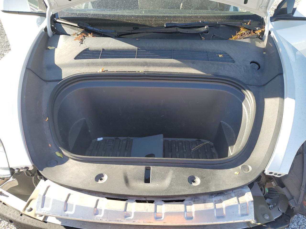 2023 Tesla Model Y VIN: 7SAYGAEE1PF813595 Lot: 89723055