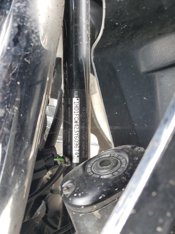 2003 Harley-Davidson Flhtcui Anniversary VIN: 1HD1FCW423Y609674 Lot: 84875945