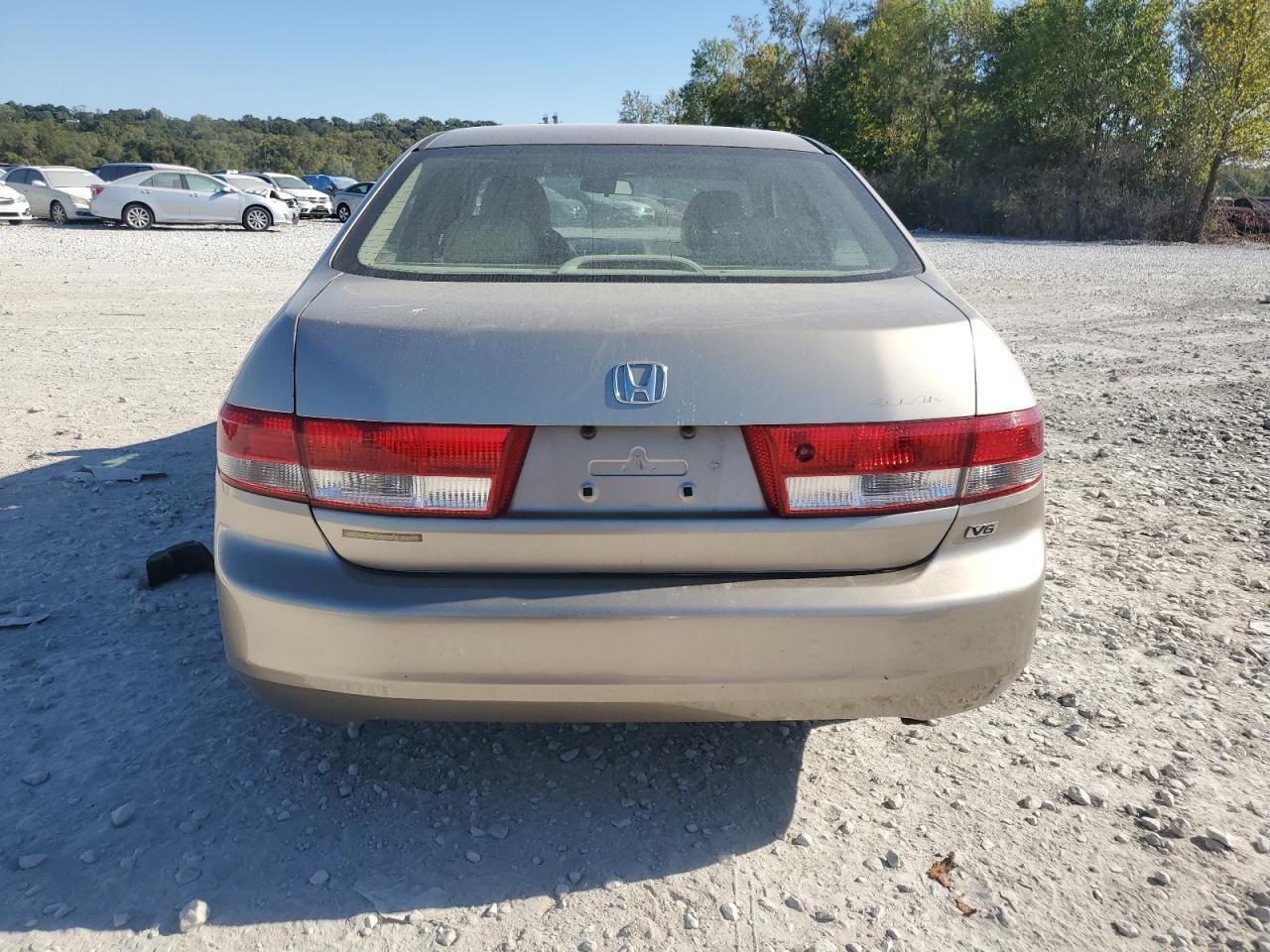 2003 Honda Accord Ex VIN: 1HGCM66563A007428 Lot: 82417485