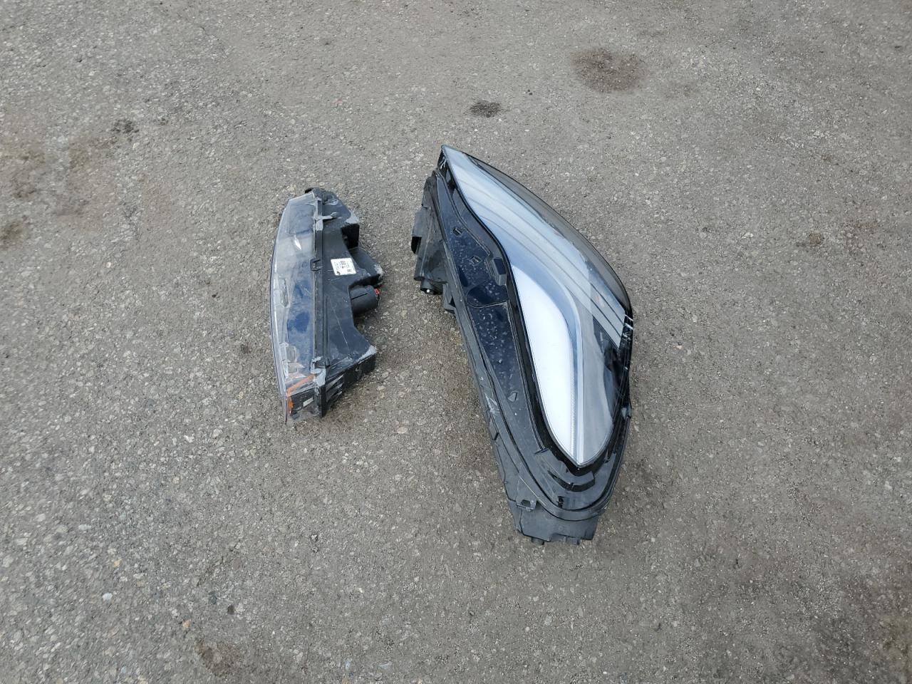 2024 Tesla Model Y VIN: 7SAYGDEE0RA259497 Lot: 86121355