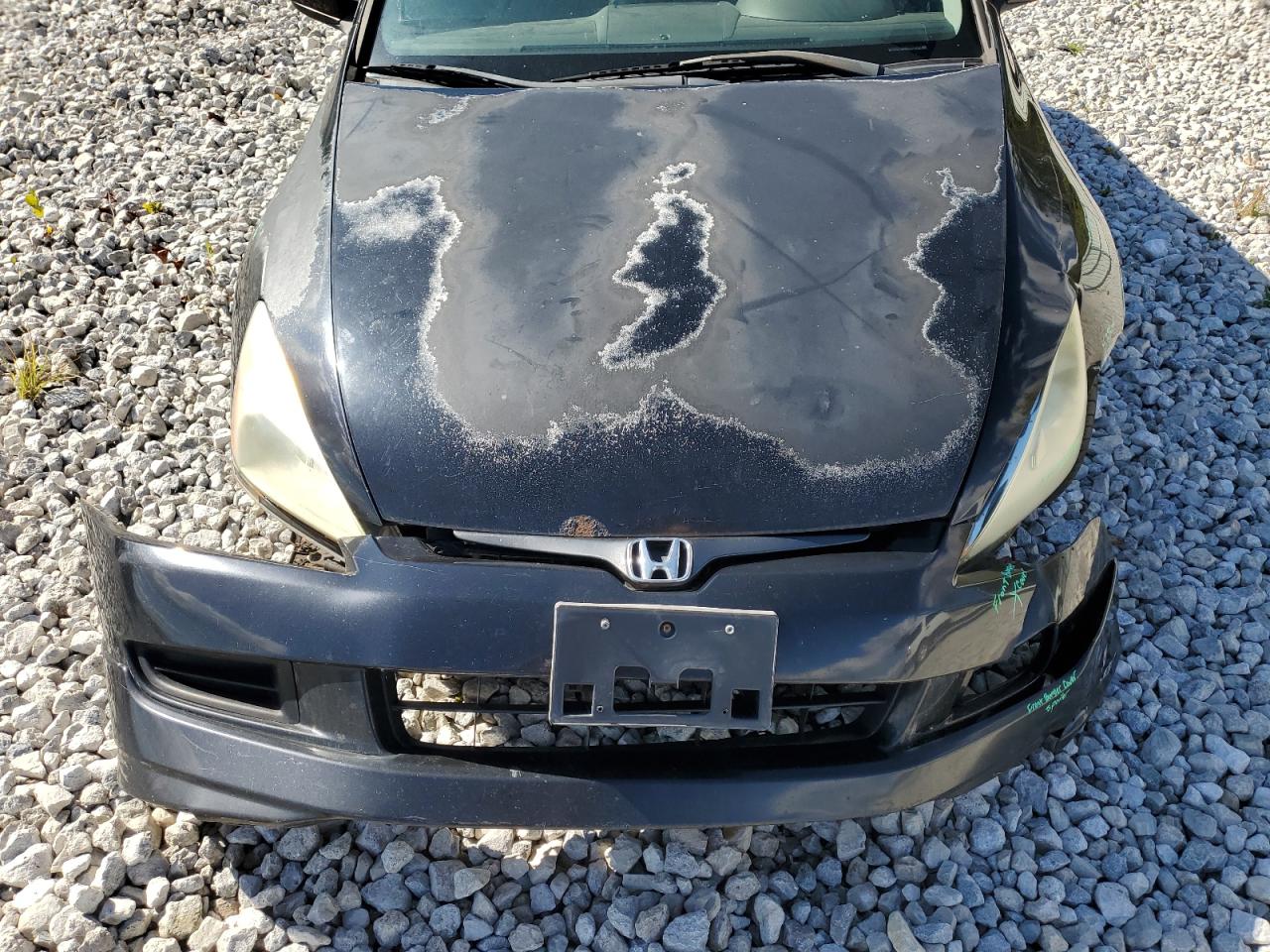 2004 Honda Accord Ex VIN: 1HGCM81774A021456 Lot: 81197385