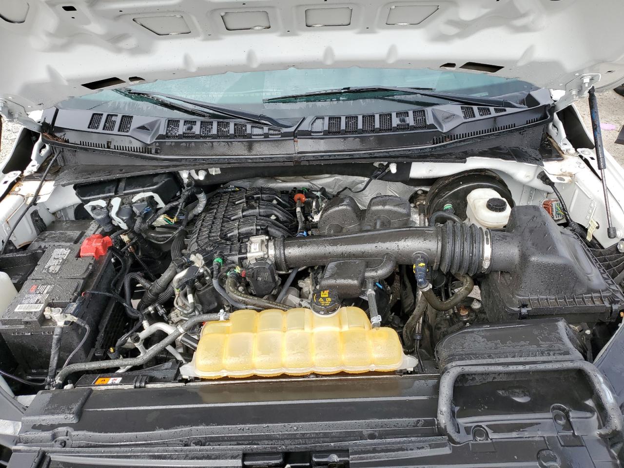 2020 Ford F150 VIN: 1FTMF1CB2LKE65844 Lot: 85707515