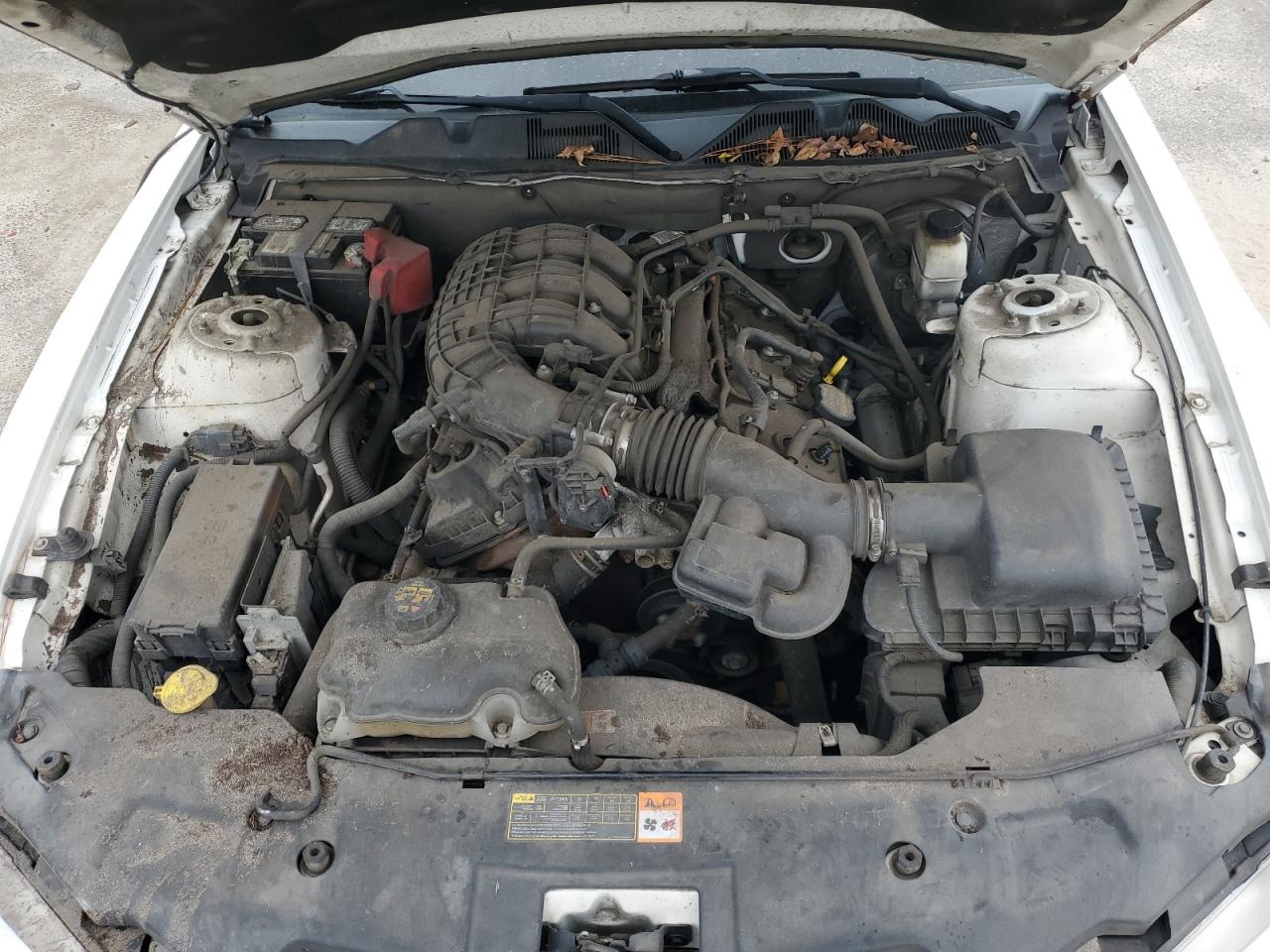 2012 Ford Mustang VIN: 1ZVBP8AM5C5261360 Lot: 86153065