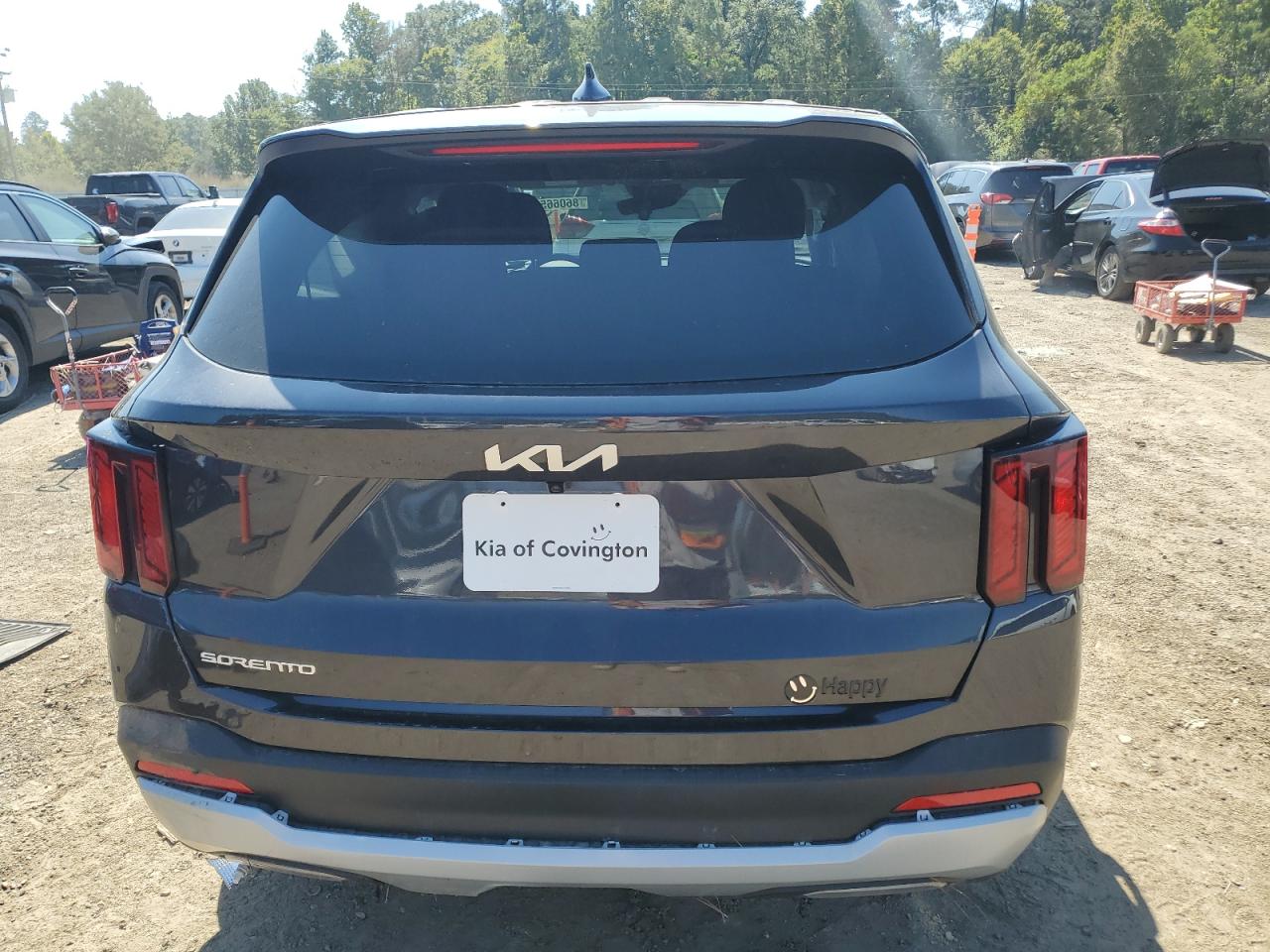 2025 Kia Sorento Lx VIN: 5XYRG4JC2SG399154 Lot: 86066545