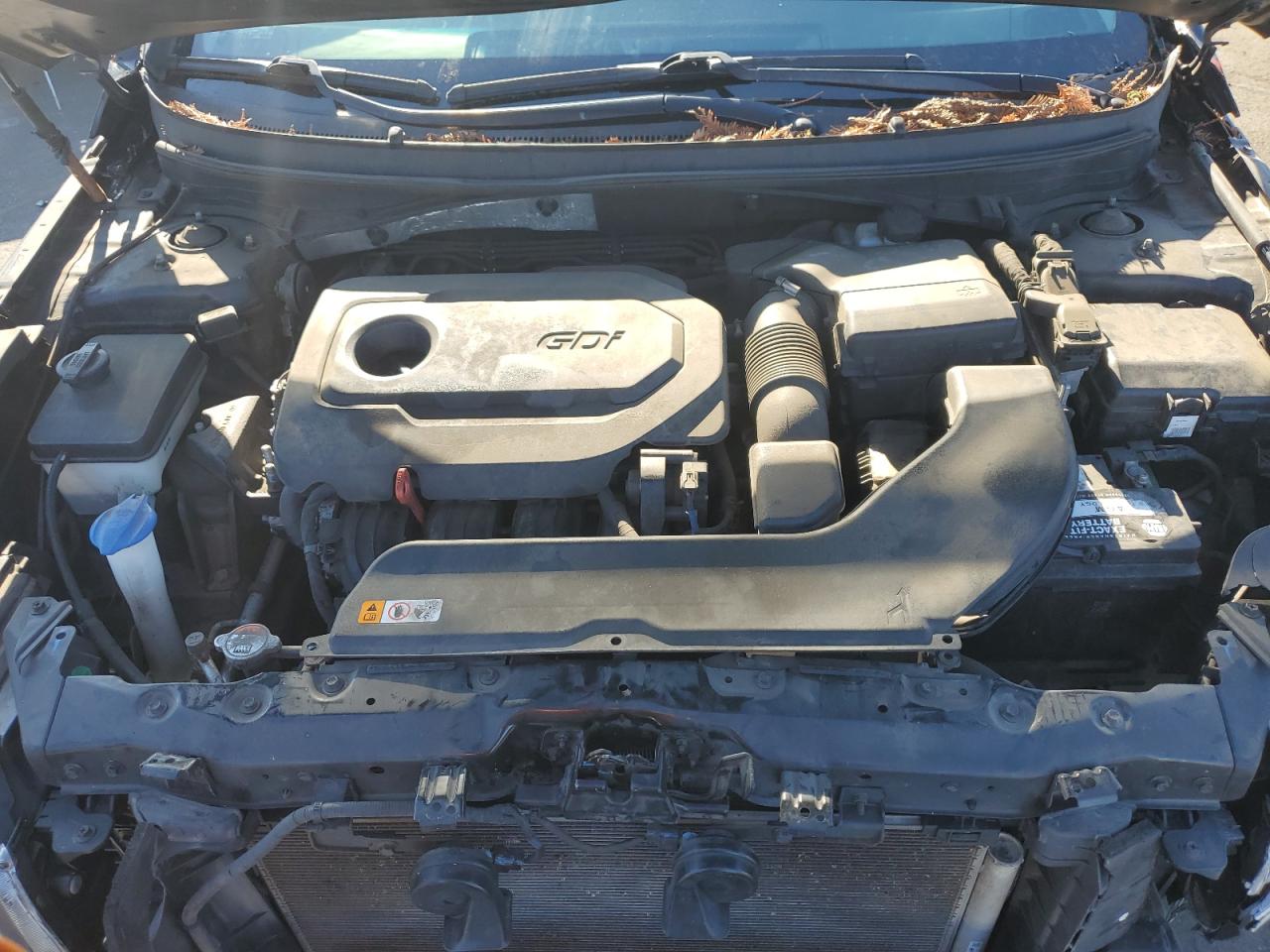 2016 Hyundai Sonata Se VIN: 5NPE24AF5GH366981 Lot: 82571555