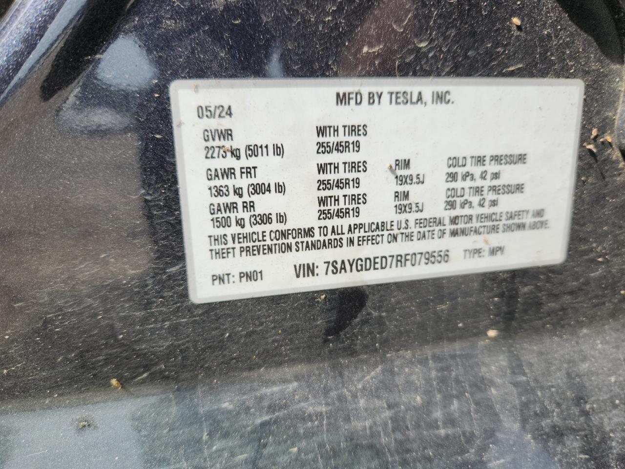 2024 Tesla Model Y VIN: 7SAYGDED7RF079556 Lot: 84292995