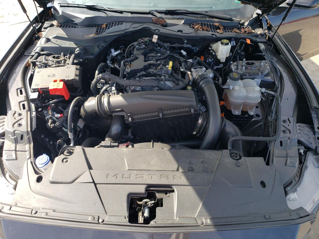 2024 Ford Mustang VIN: 1FA6P8TH5R5123000 Lot: 84422965