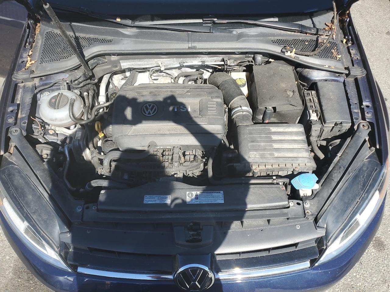 2016 Volkswagen Golf Sportwagen S VIN: 3VWC17AU5GM516864 Lot: 84259385