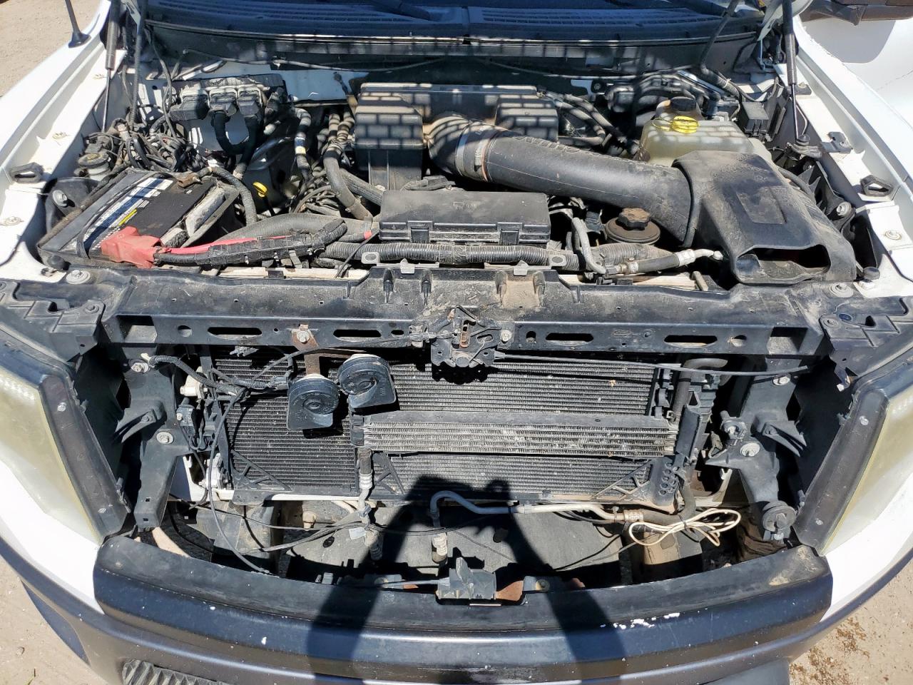 2013 Ford F150 Svt Raptor VIN: 1FTFW1R60DFC62982 Lot: 81950735