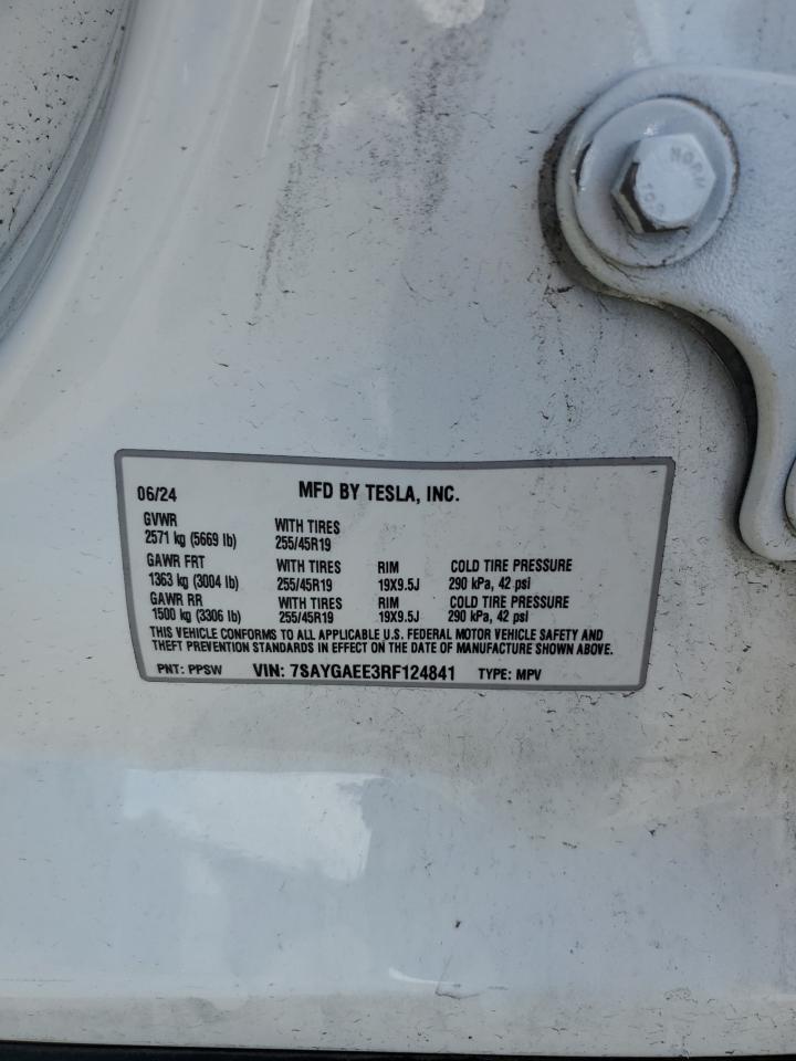 2024 Tesla Model Y VIN: 7SAYGAEE3RF124841 Lot: 85109335