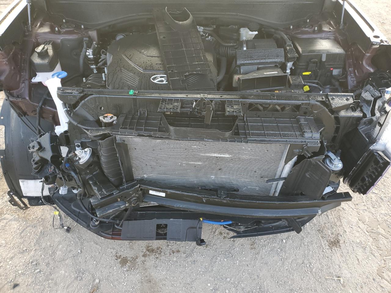 2023 Hyundai Palisade Calligraphy VIN: KM8R7DGE2PU630497 Lot: 90726335