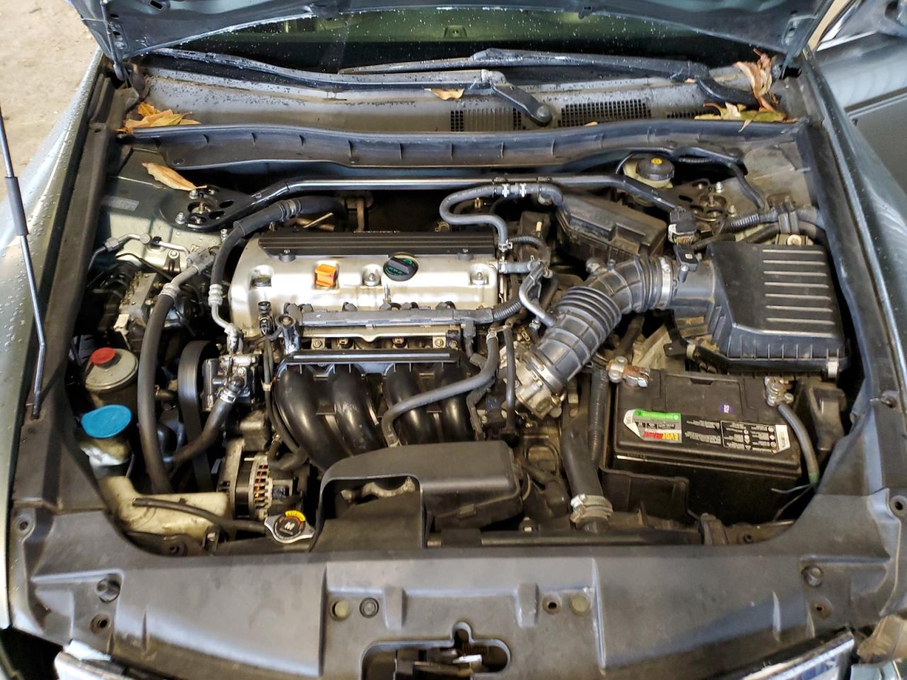 2008 Honda Accord Exl VIN: JHMCP26848C061006 Lot: 81911455