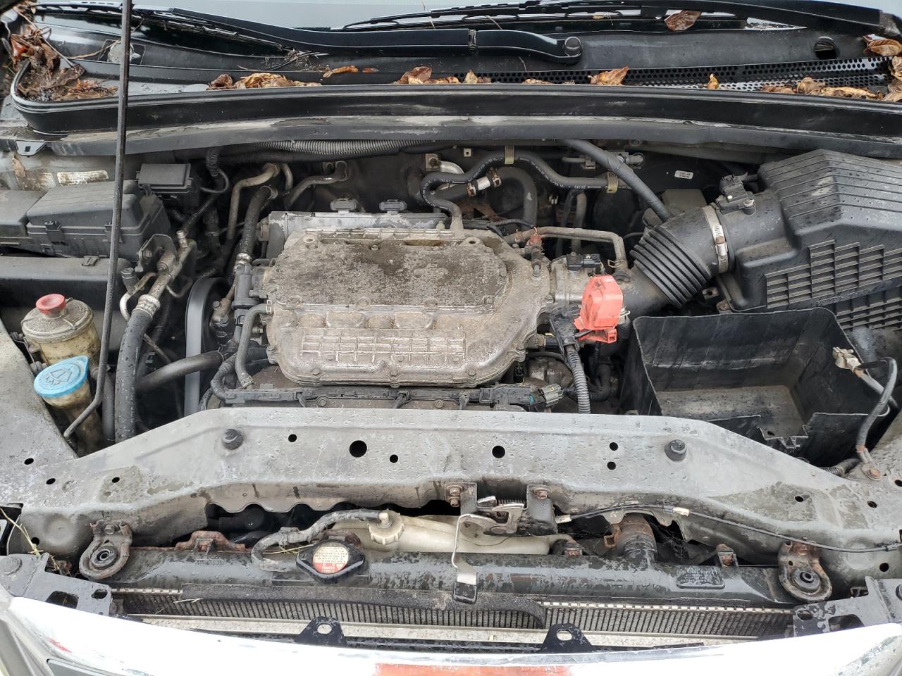 2007 Honda Odyssey Exl VIN: 5FNRL387X7B412567 Lot: 85284515