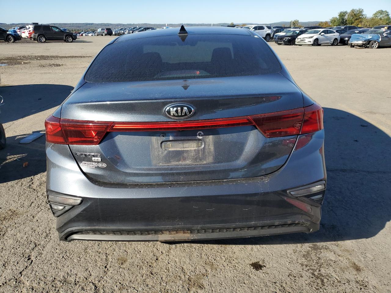 2019 Kia Forte Fe VIN: 3KPF24AD8KE073236 Lot: 86169425