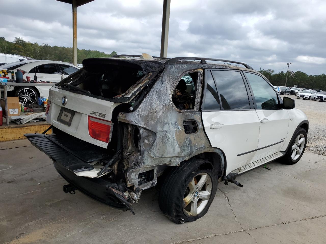 Фото: 5UXFE4C56AL379210