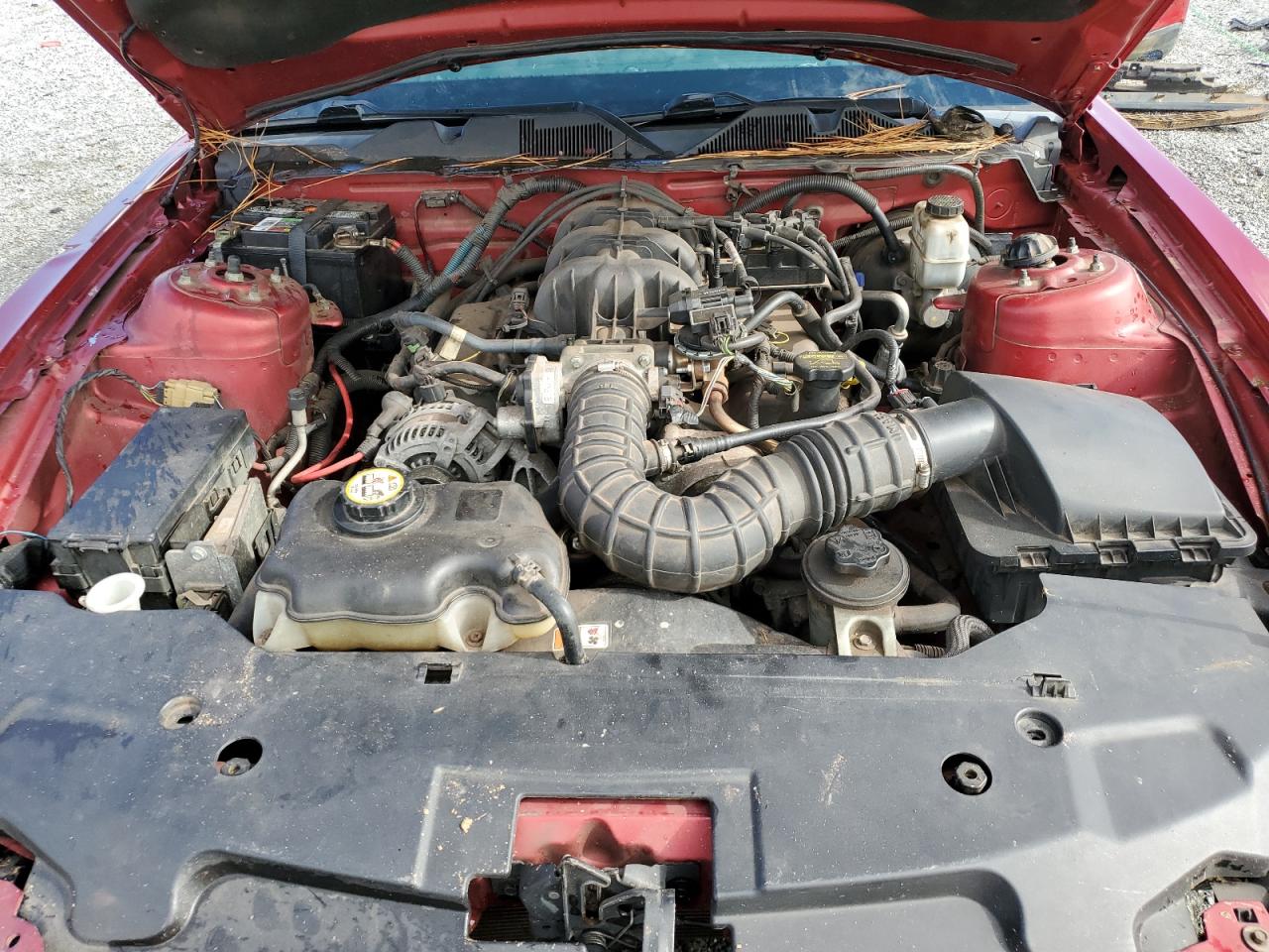 2010 Ford Mustang VIN: 1ZVBP8AN9A5116957 Lot: 84730495