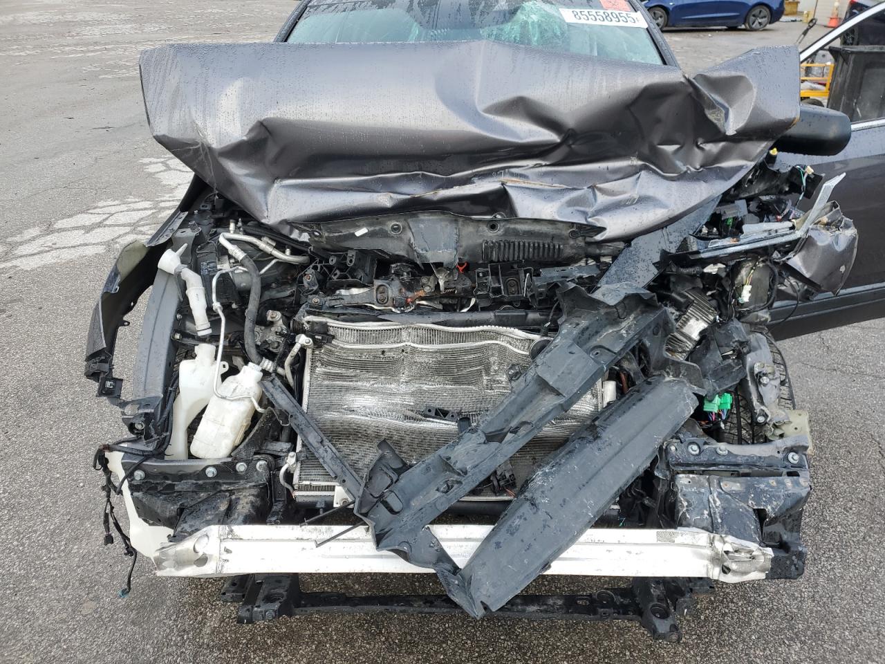 2019 Honda Cr-V Lx VIN: 2HKRW6H31KH224424 Lot: 85558955