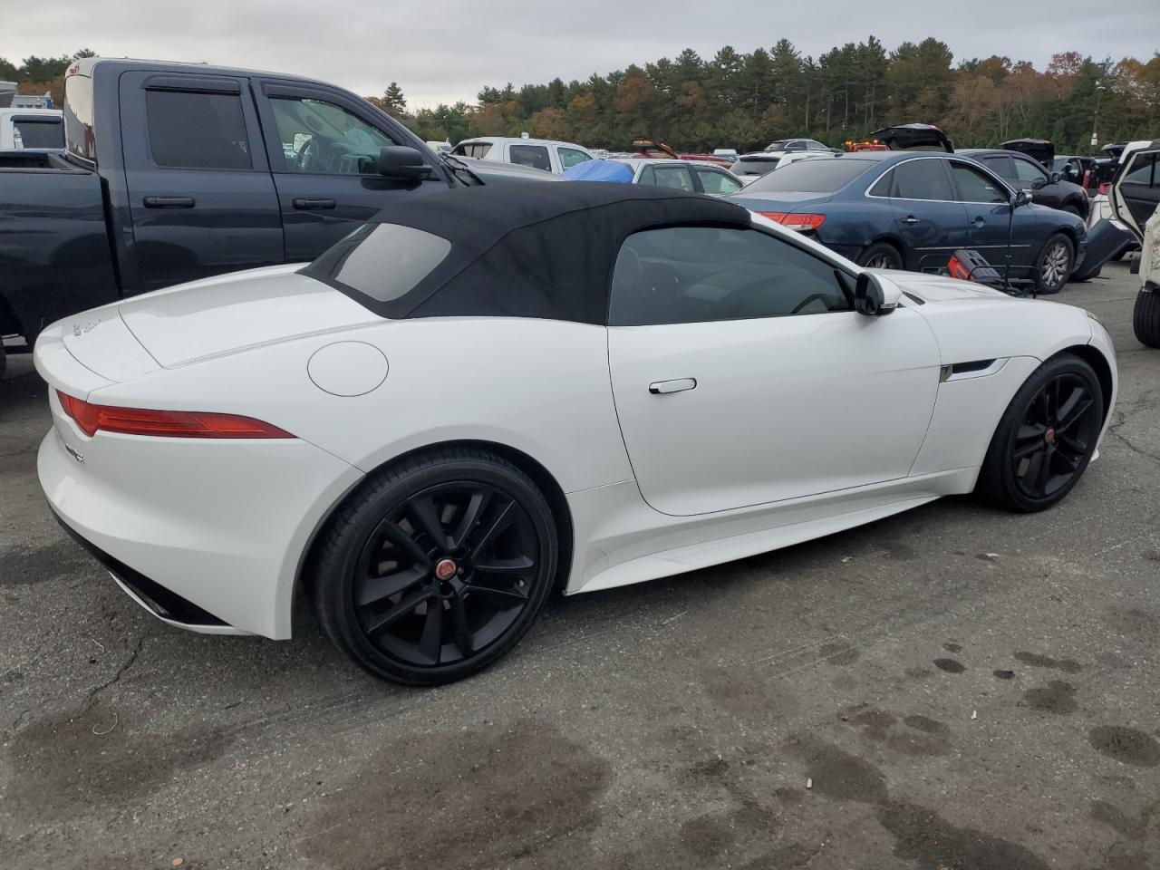F-Type