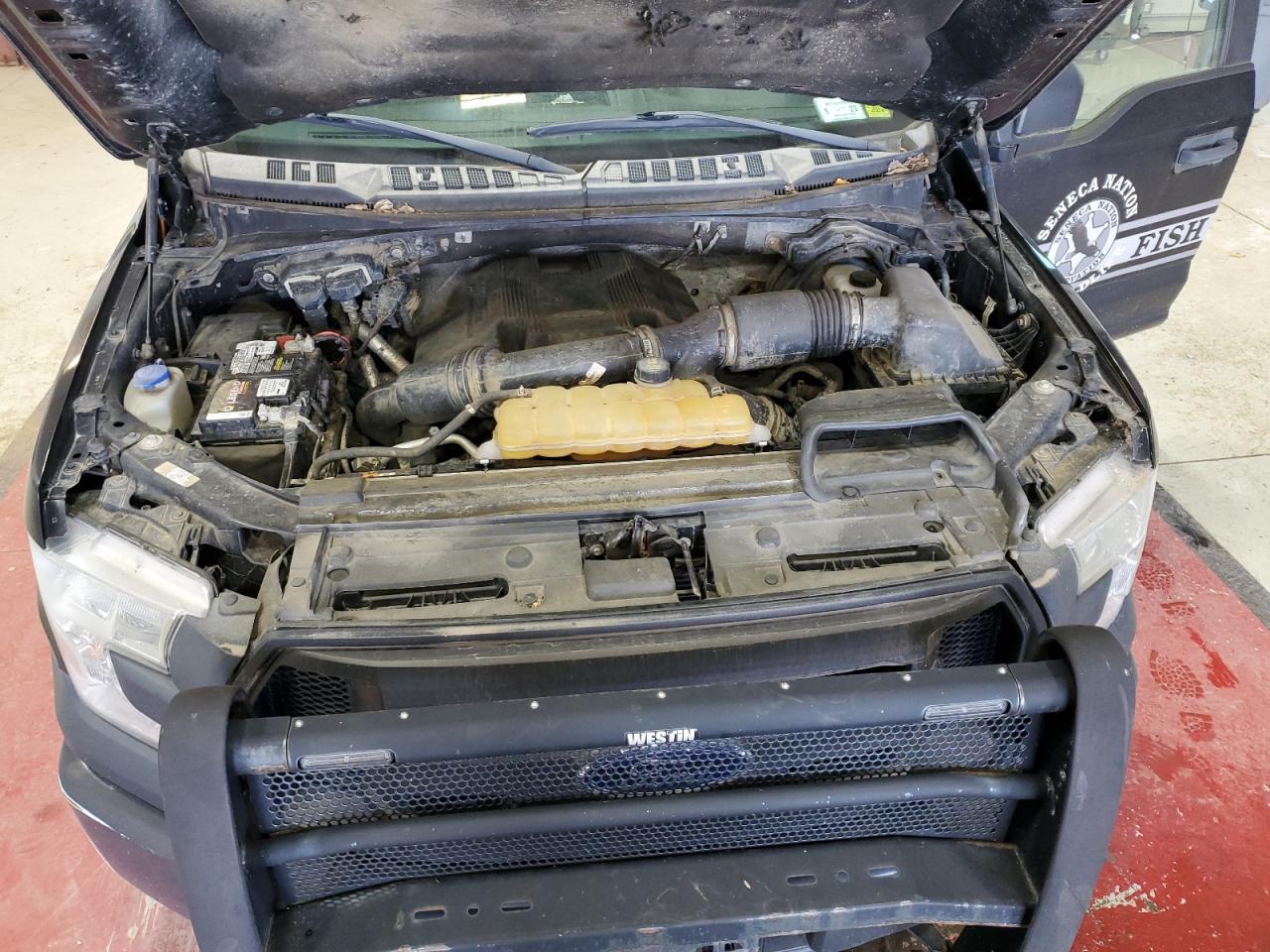 2017 Ford F150 Supercrew VIN: 1FTFW1EG4HFA88449 Lot: 82377905