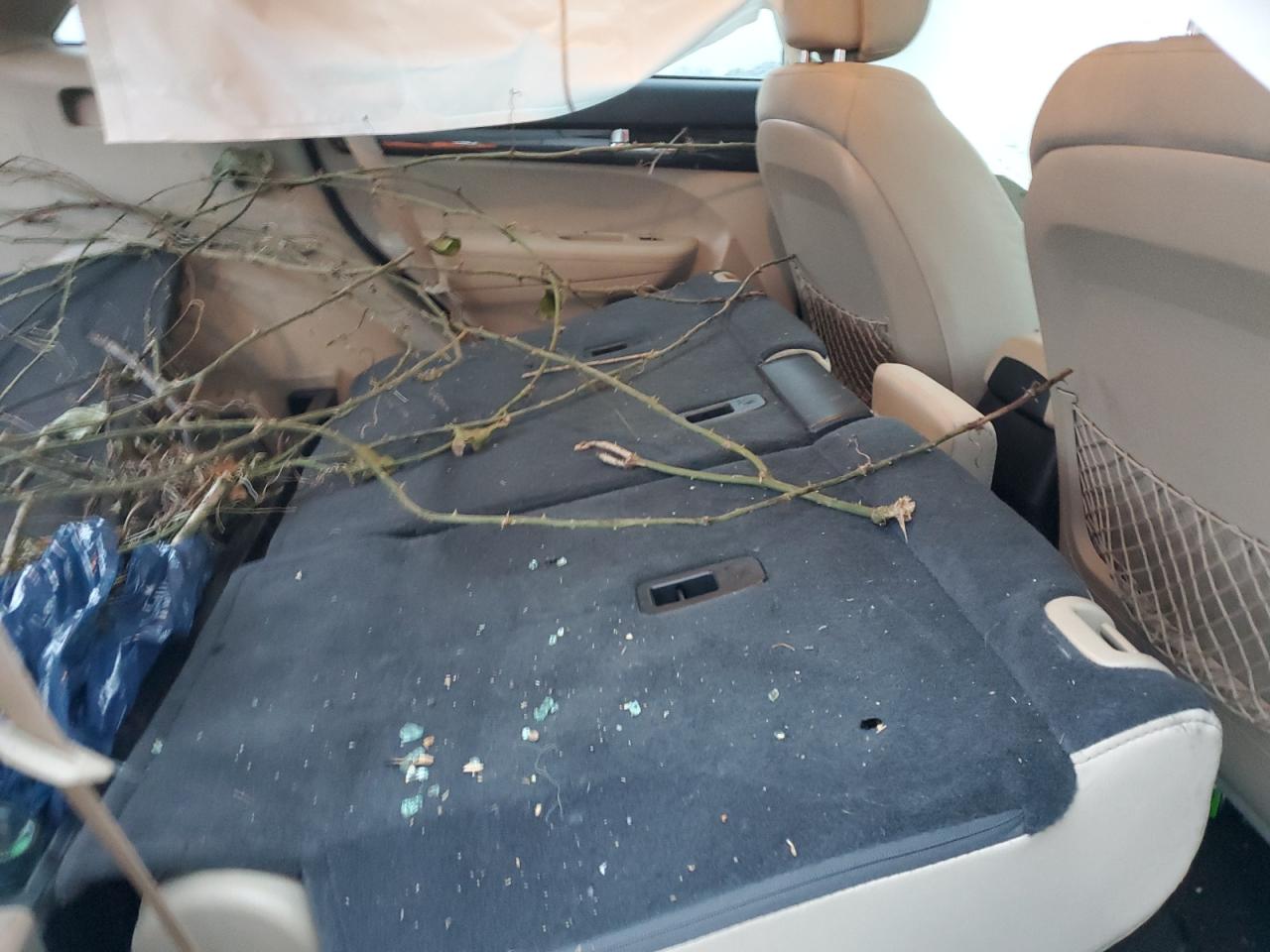 2013 Kia Sorento Lx VIN: 5XYKTCA65DG422124 Lot: 90337025